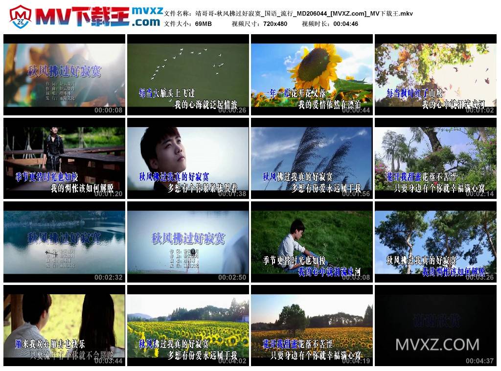 靖哥哥-秋风拂过好寂寞_国语_流行_MD206044